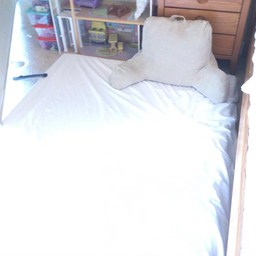 ScanNet input image 1