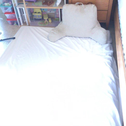 ScanNet input image 2