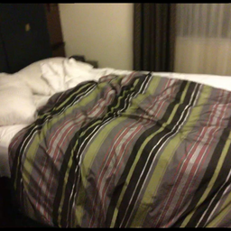 ScanNet input image 1